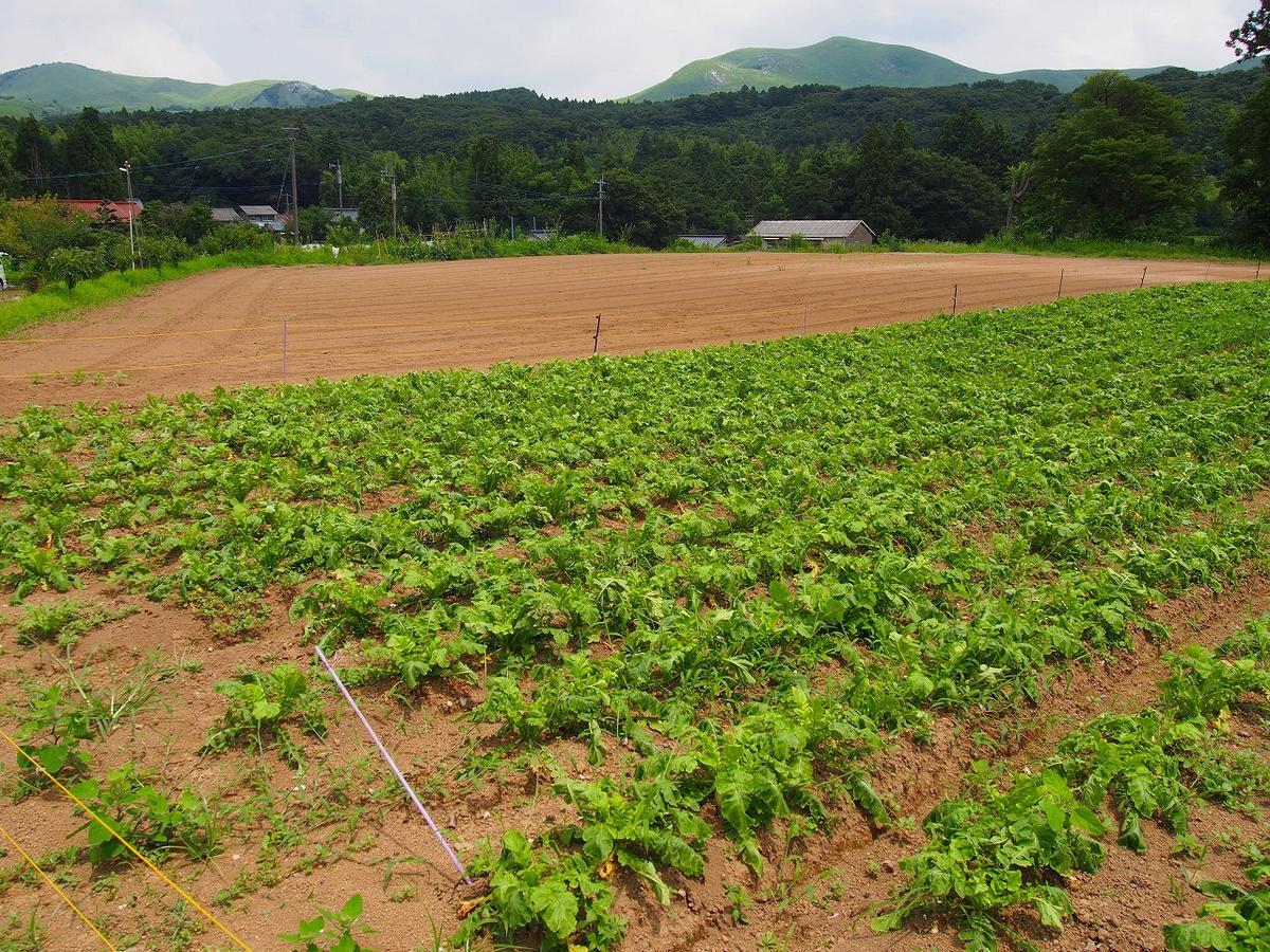 Hiraodai Kitakyushu Exterior photo