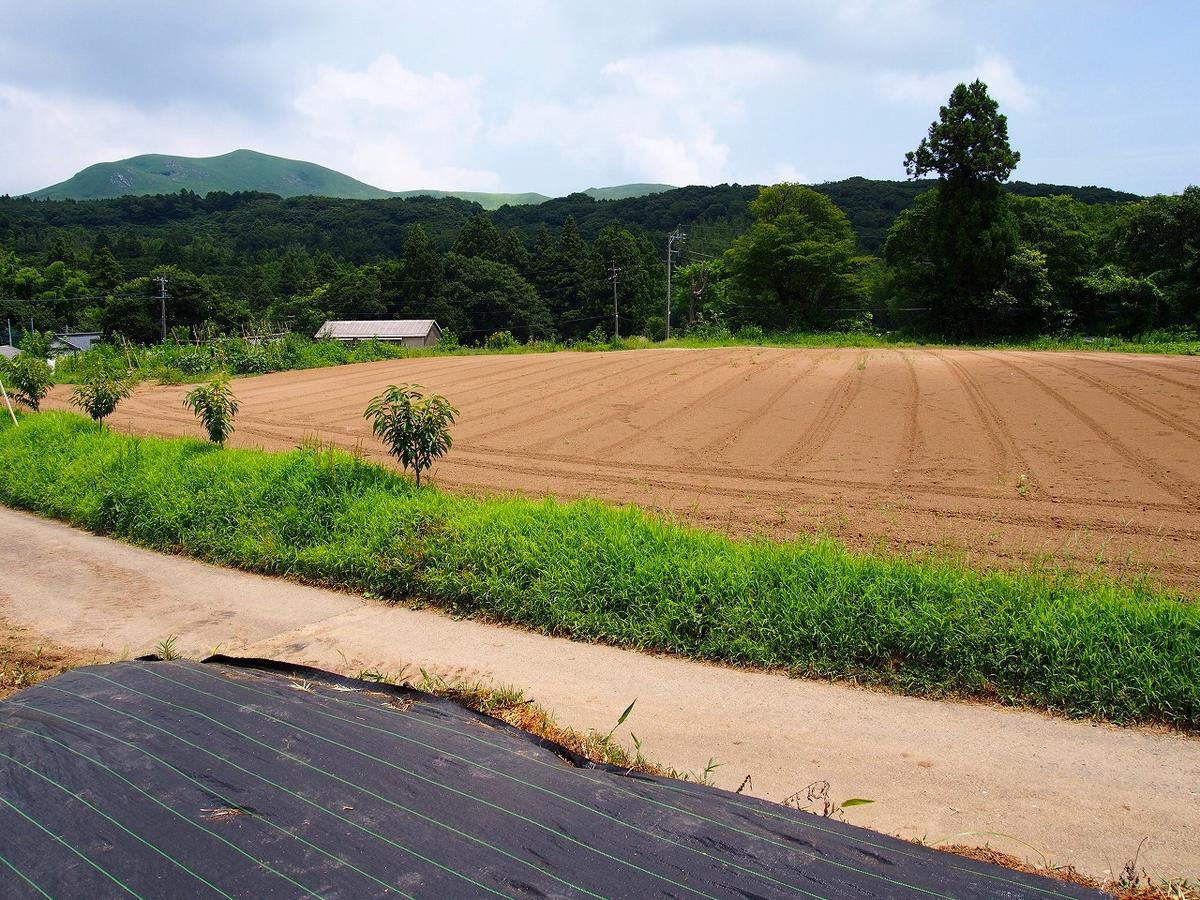 Hiraodai Kitakyushu Exterior photo
